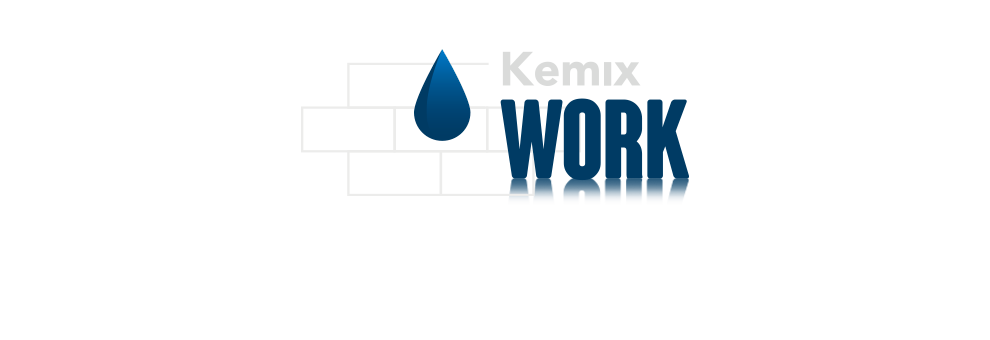 Kemix Professional Work reflection